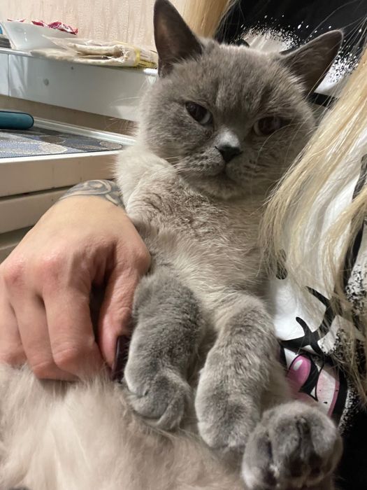 Віддаю гарним людям