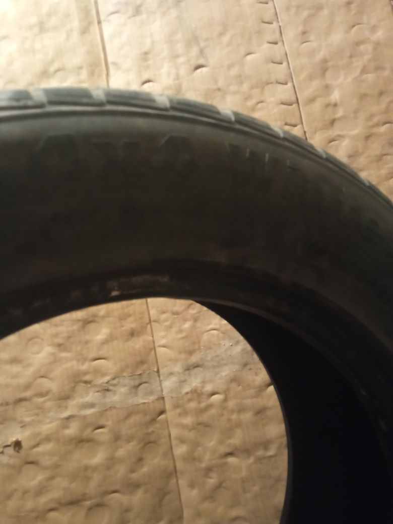 Шины 255/55R18 зима