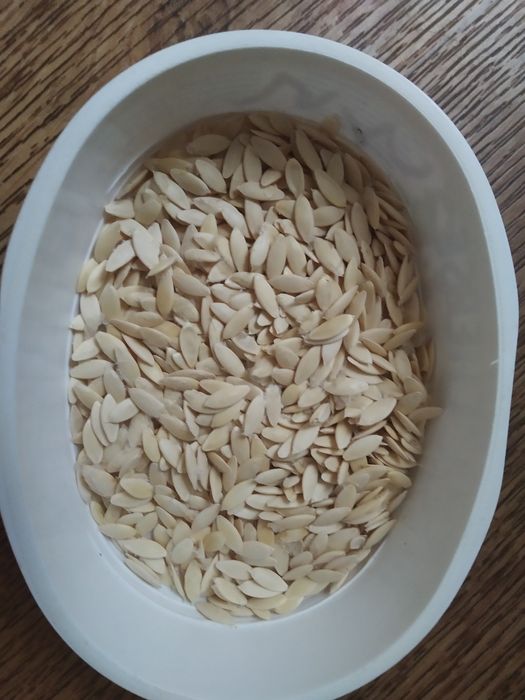 Насіння огірків домашнє