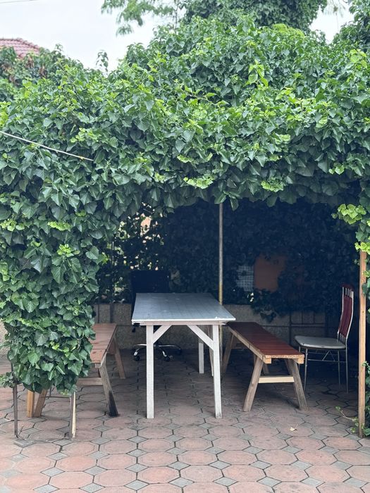 Посуточно Дом для Мероприятий Генератор Торжеств 13 фонтана