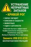 Устранение запаха Озонирование автомобиля квартир Сухой туман Трупний