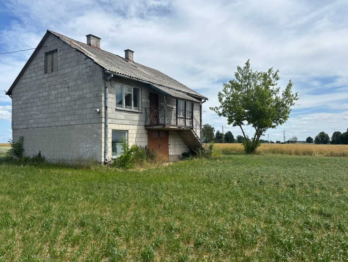 Siedlisko na kolonii, ZASTAWIE
