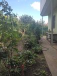 Продам дом| Жилое состояние| 5 соток | Мебель и техника| Киевский р-н