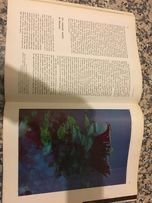 O grande livro dos oceanos