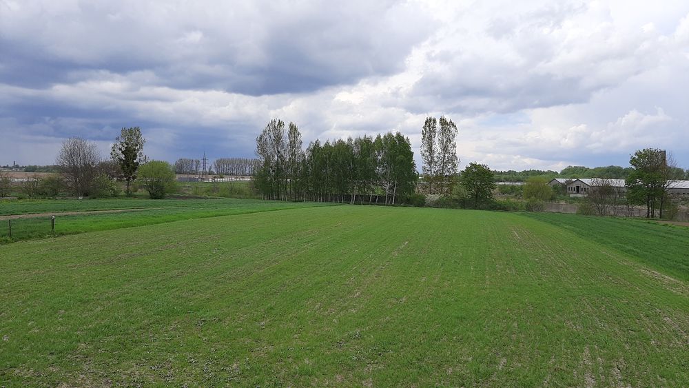 Будинок м.Корець. 74соти землі..