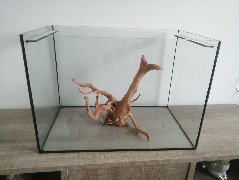 Aquário 50x30x35  com raiz de deserto novo promoção