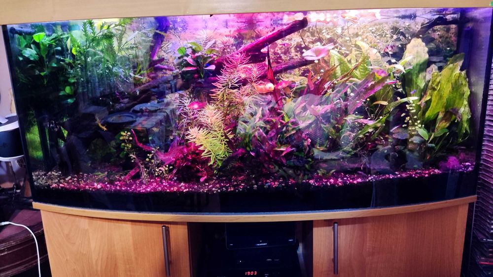 Akwarium 240 L Komplet