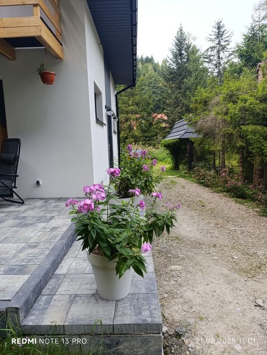 Domek w górach  do wynajęcia