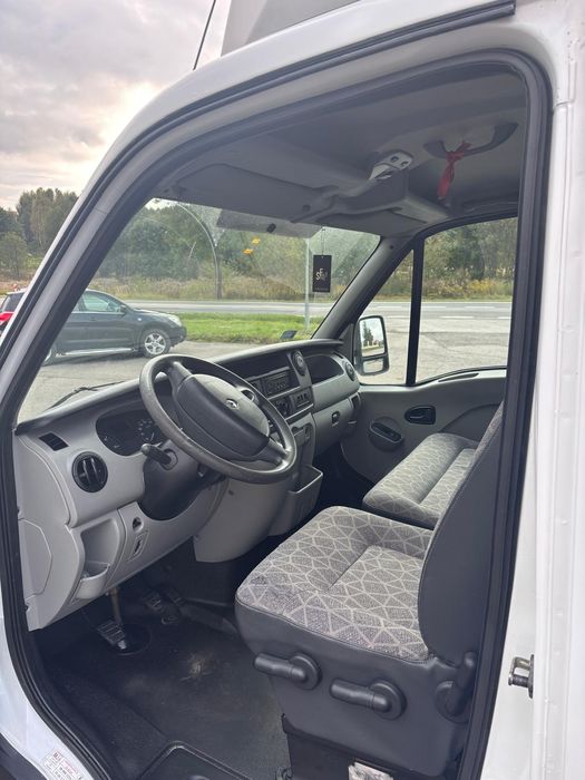 Renault master do przewozu zwierząt bydła