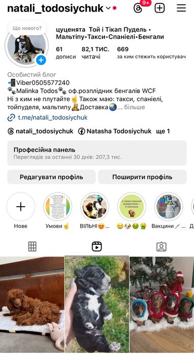 Мальтіпу мікро, міні та стандарти