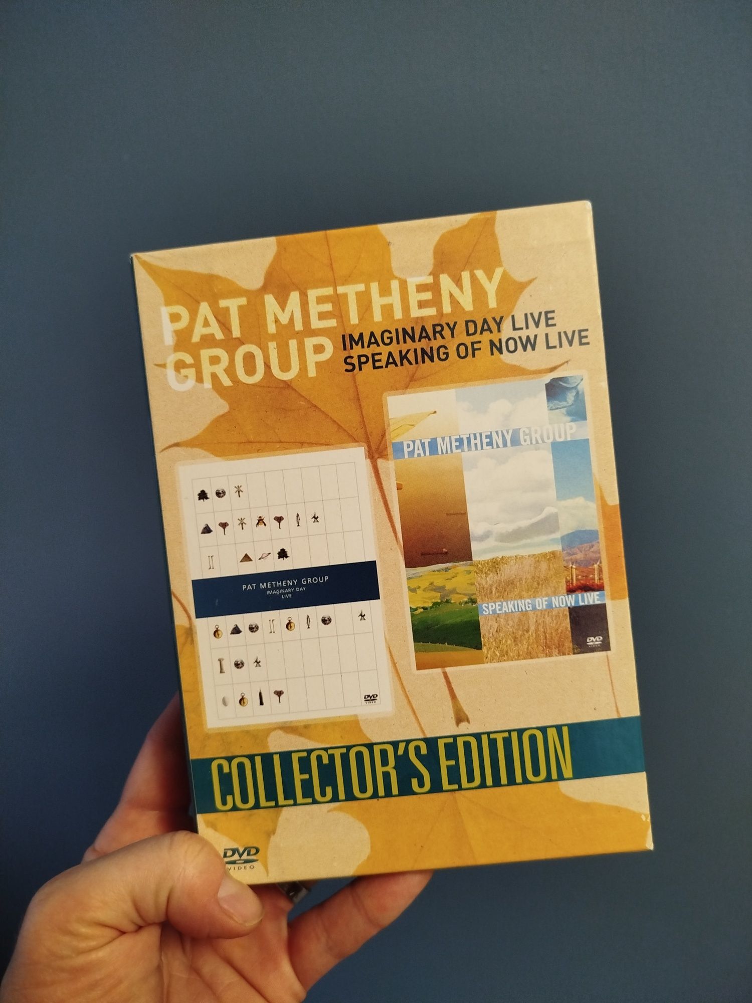 Imaginary day, Speaking of Now DVD Pat METHENY