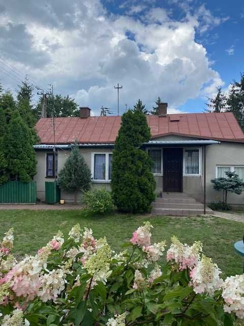 Wynajmę Dom - OKUNIEW