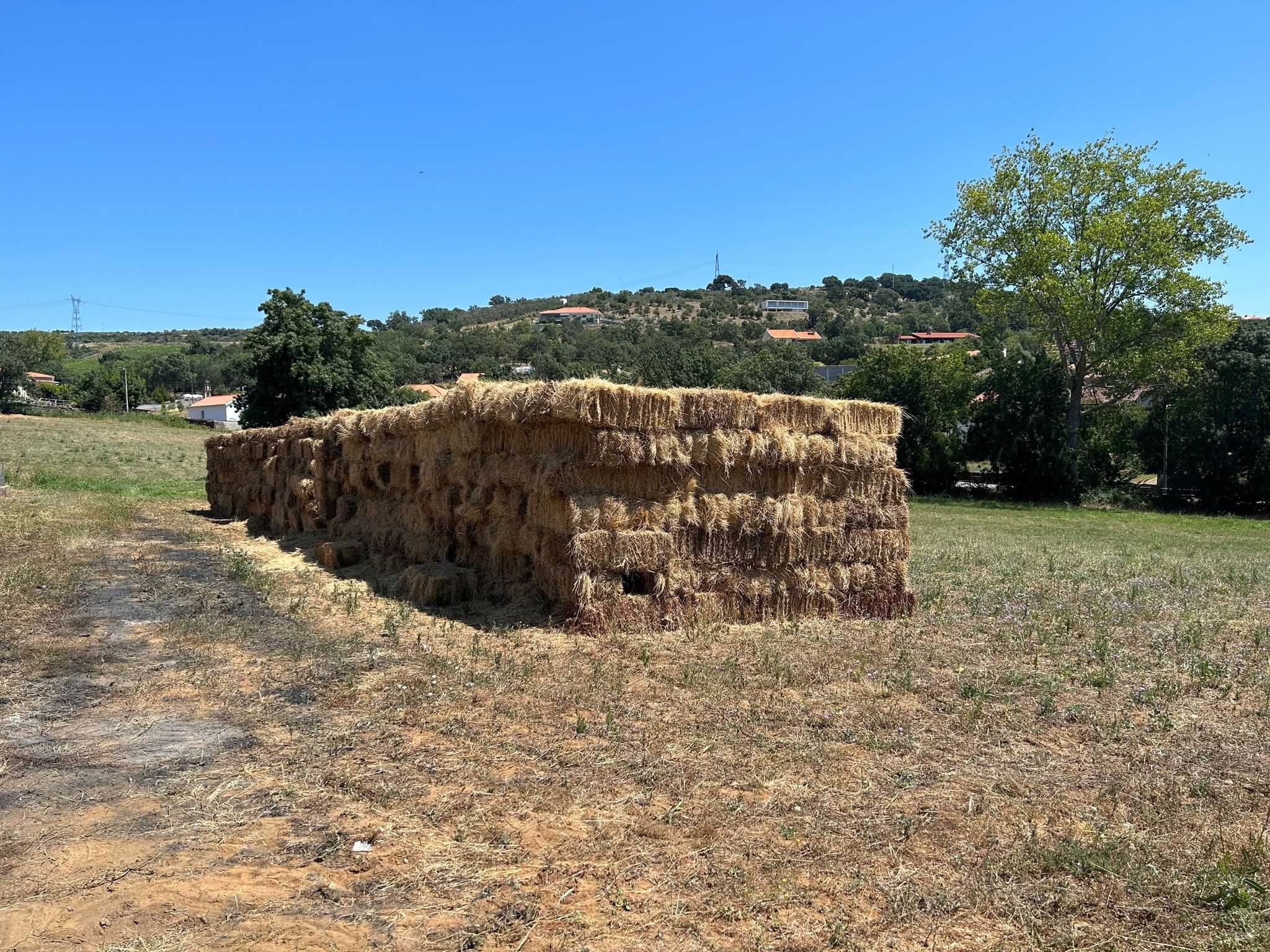 Fardo de Feno pequeno