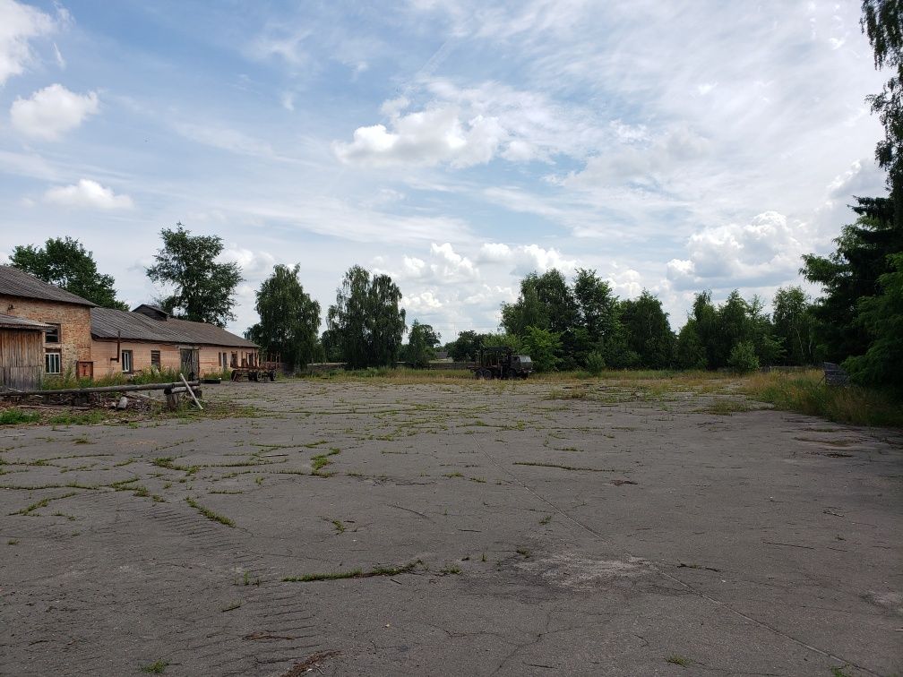 Продається виробниче приміщення  с. Серби