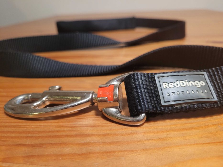 Smycz RedDingo dla dużego psa