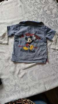 Bluza koszulka Polo Myszka Miki rozmiar 80