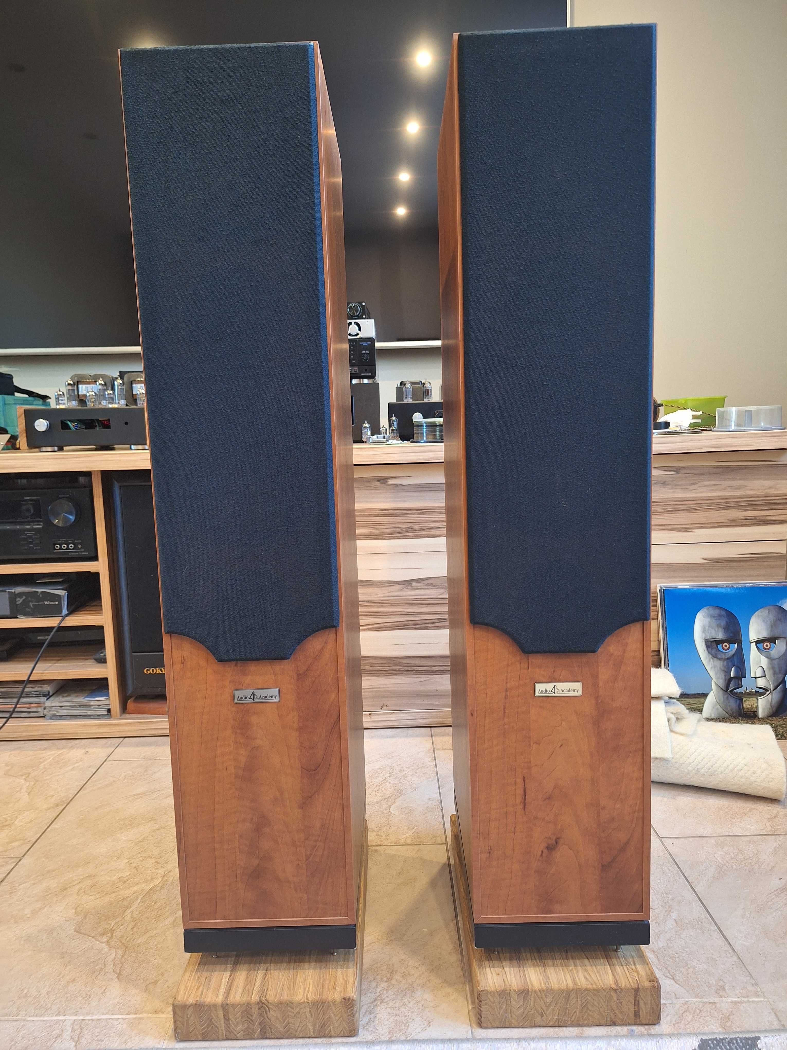 Kolumny głośnikowe Audio Academy Mimas