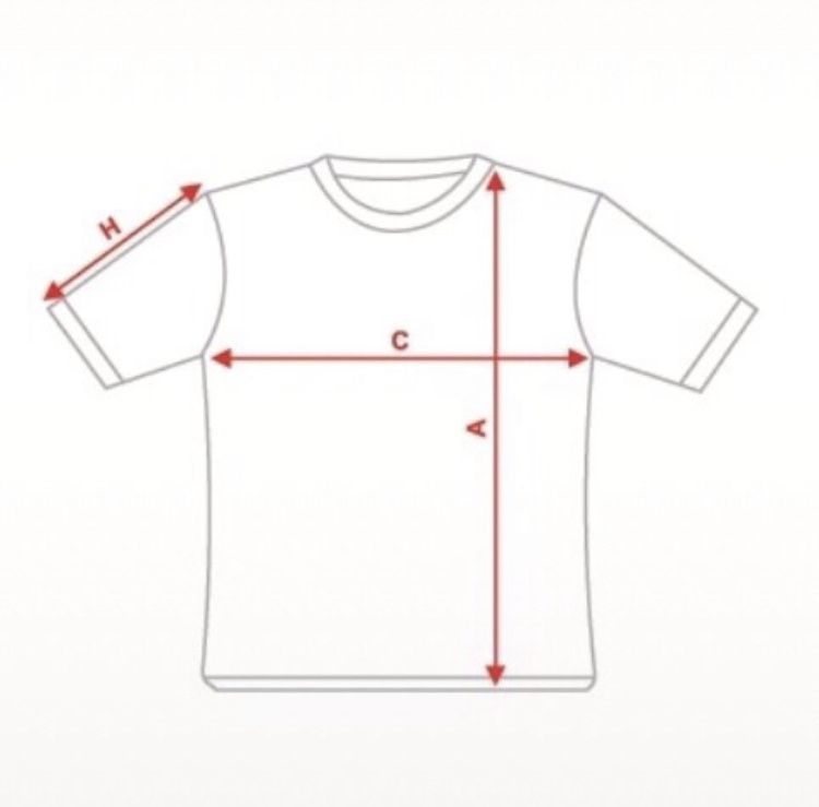 Koszulka na długi rękaw longsleeve Hollister Calif. 22 [S]