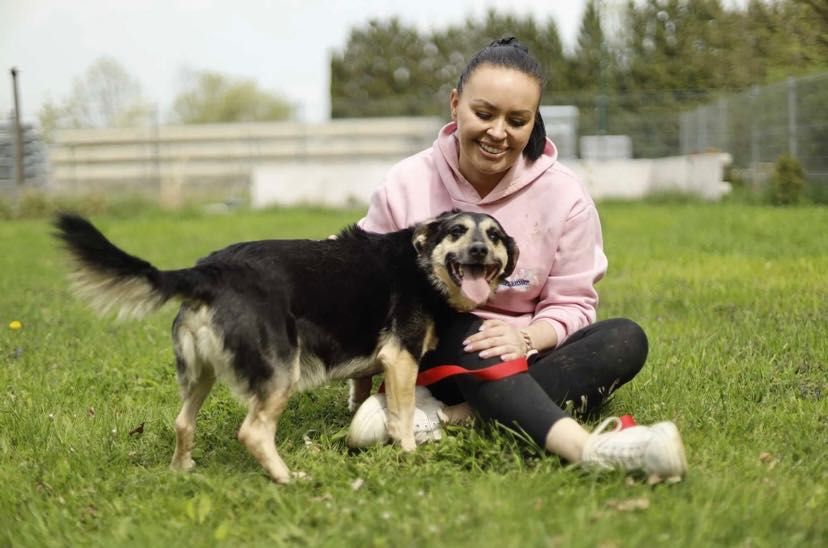 Adoptuj AKORDA-zyskaj przyjaciela