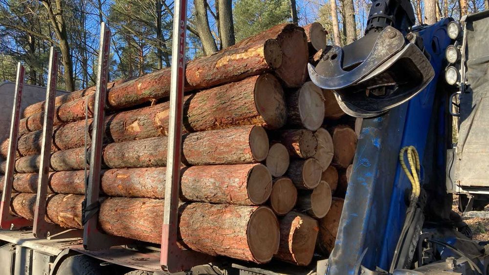 Drewno Okrągłe Tartaczne Świerk Transport cała Polska