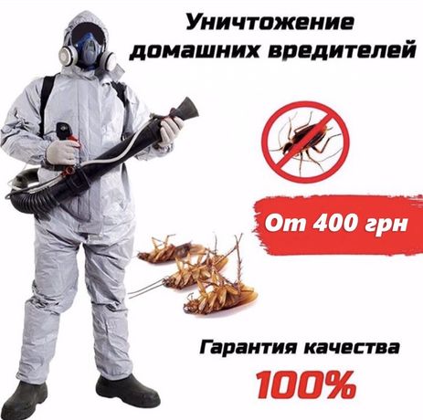 Уничтожение тараканов в Одессе. Быстро. Эффективно! С гарантией - год