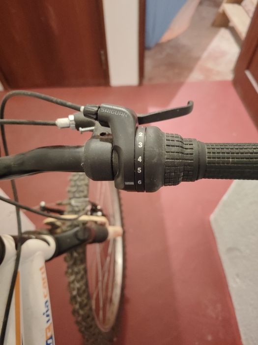 Bicicleta de adulto
