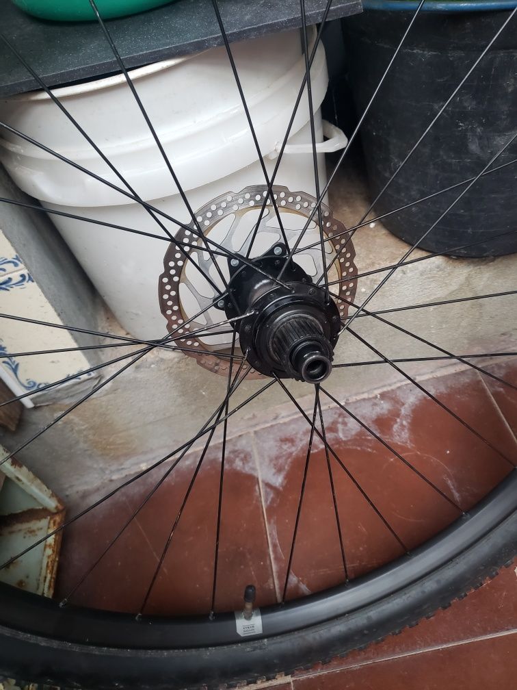 Roda 29 completa