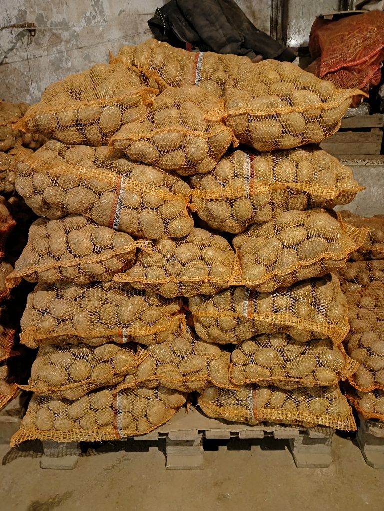Ziemniaki Soraya