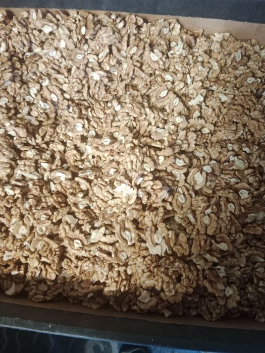 Sprzedam orzechy włoskie