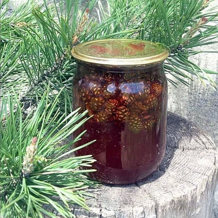 Варення з шишок , ШИШКИ