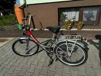Rower marki Pegasus