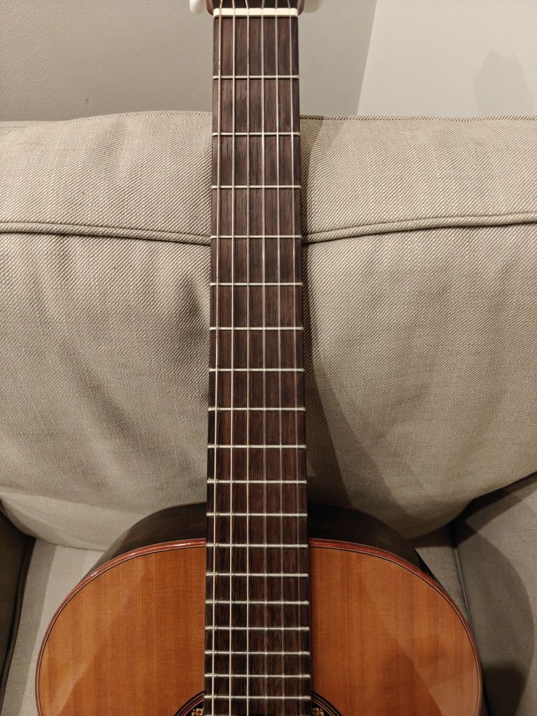 Gitara Alhambra Iberia Ziricote