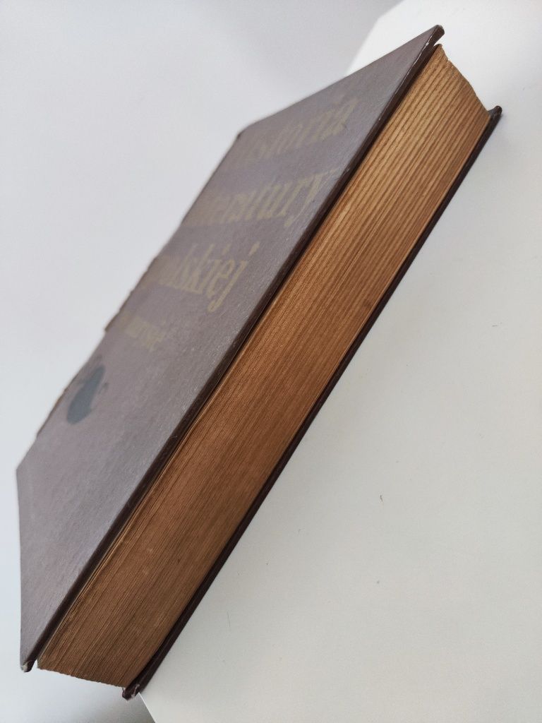 Historia literatury polskiej w zarysie