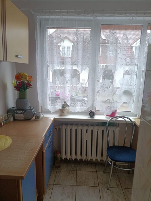 Kawalerka + działeczka  do sprzedania