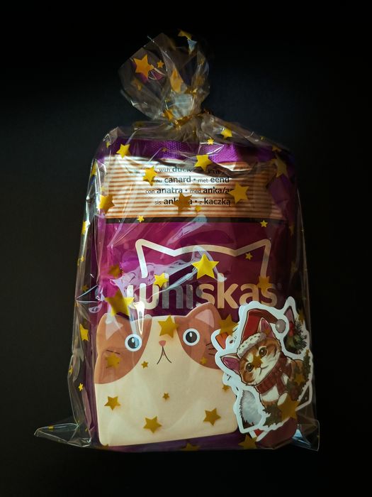 Świąteczna paczka dla kota