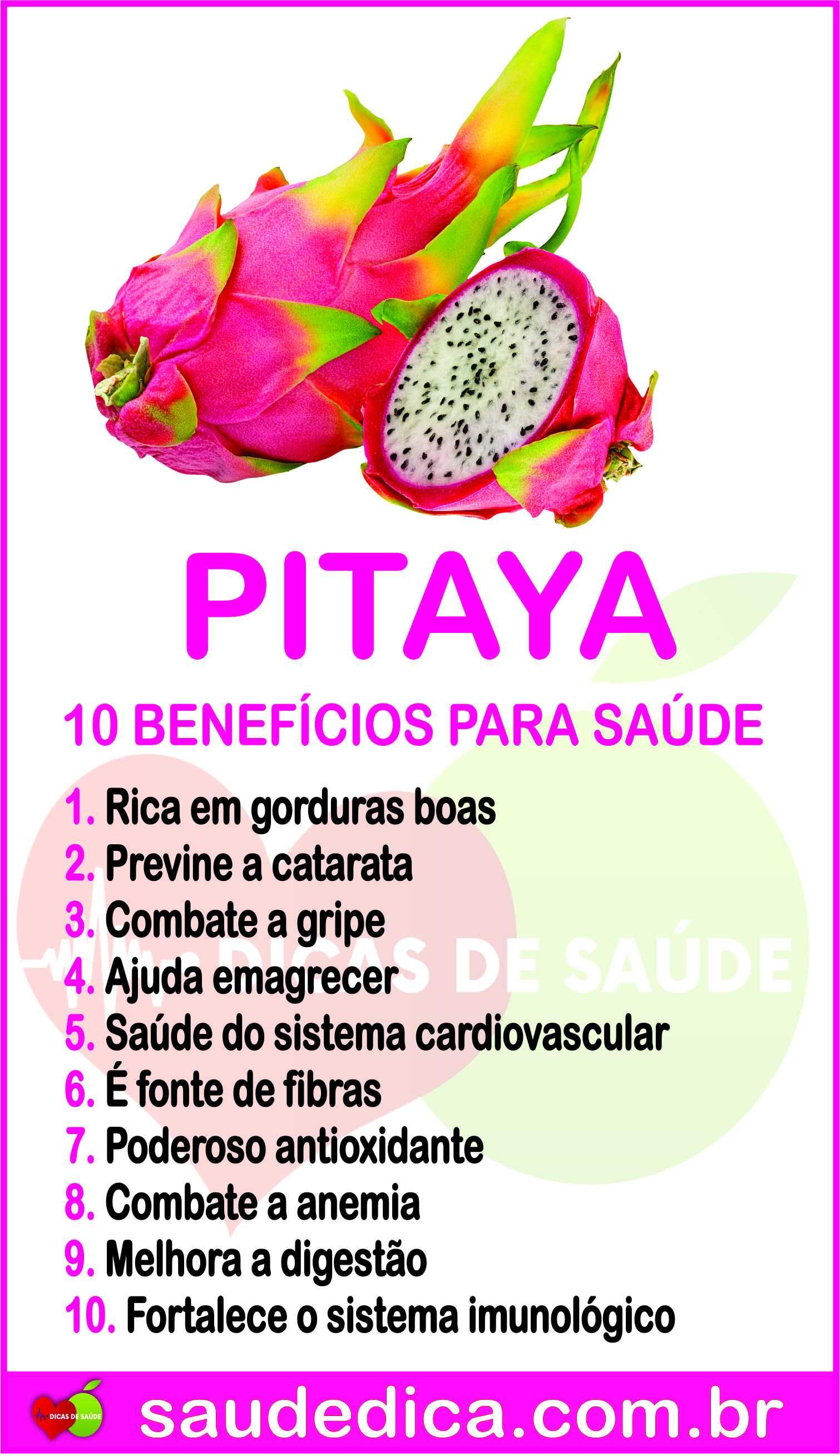 Plantas de Pitayas ou Pitaias - Fruta do Dragão