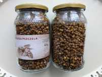 Pierzga pszczela słoik 500 g 0,5 kg duży słoik 900 ml zbiór 2024