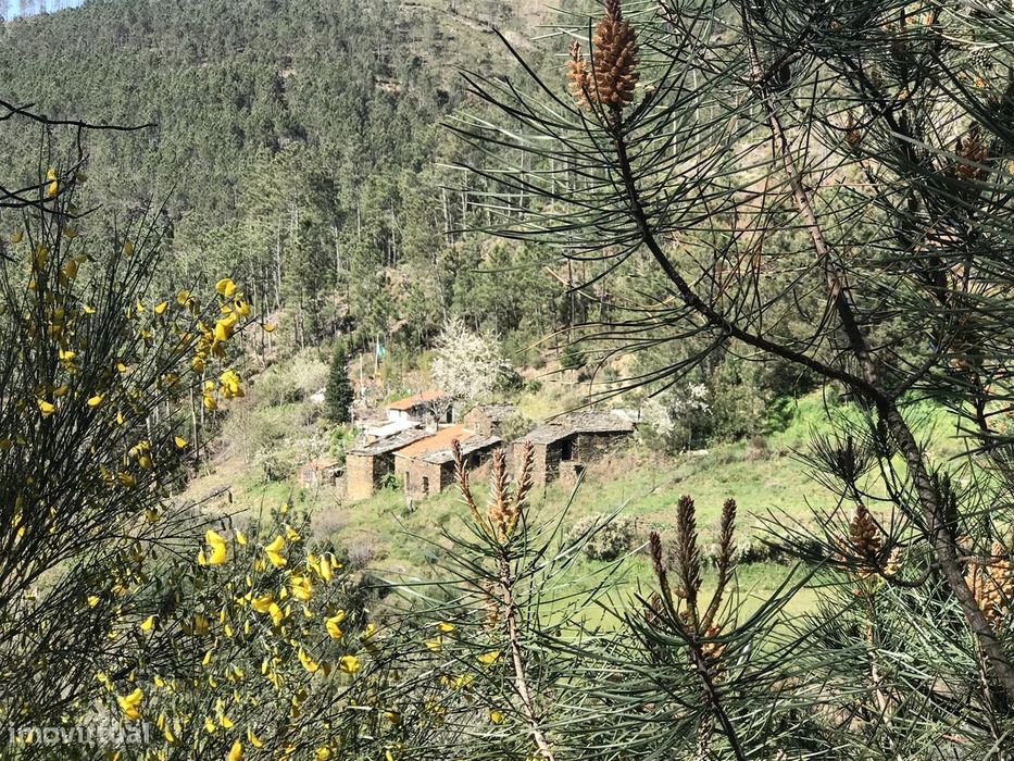 Quintinha  Venda em Loriga,Seia