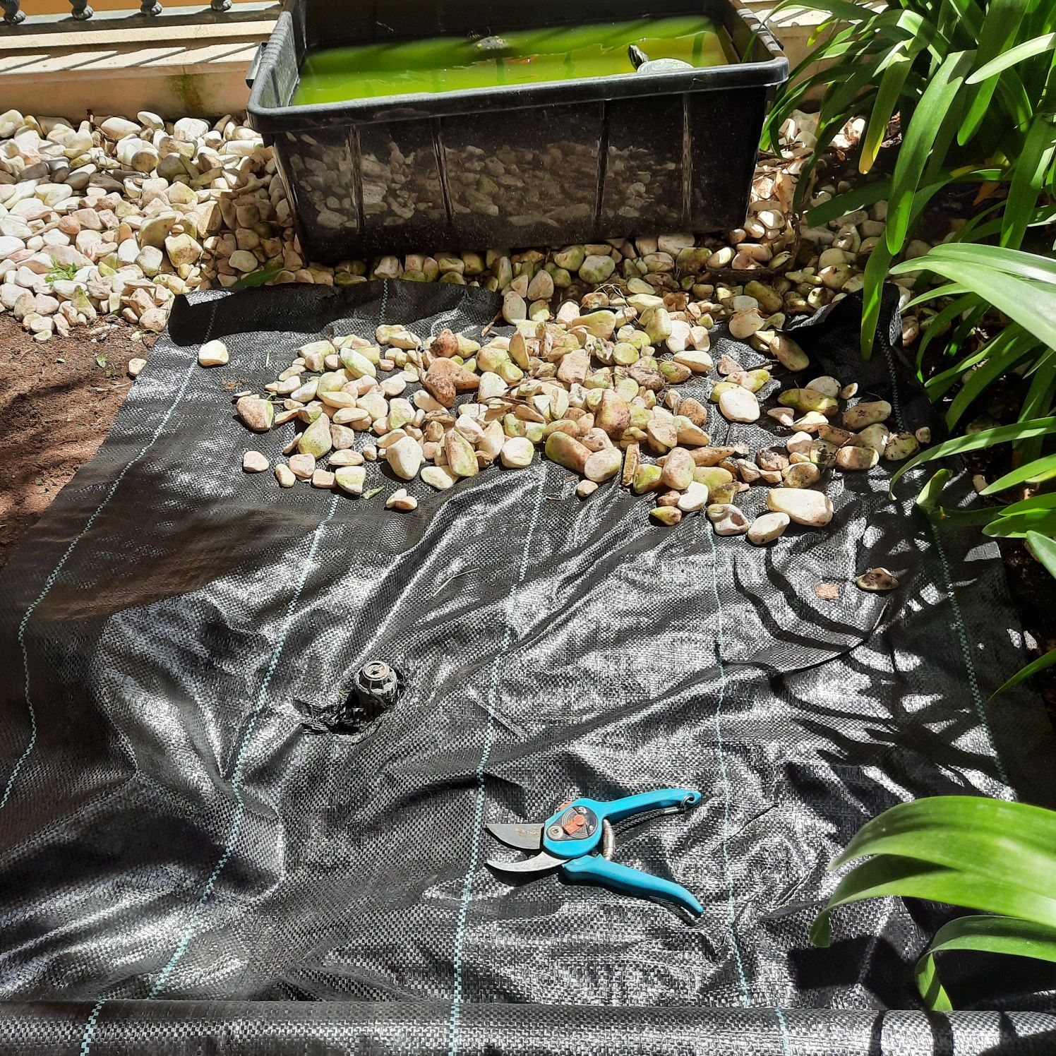 Transforme Seu Jardim! Serviços de Jardinagem com Qualidade  Dedicação