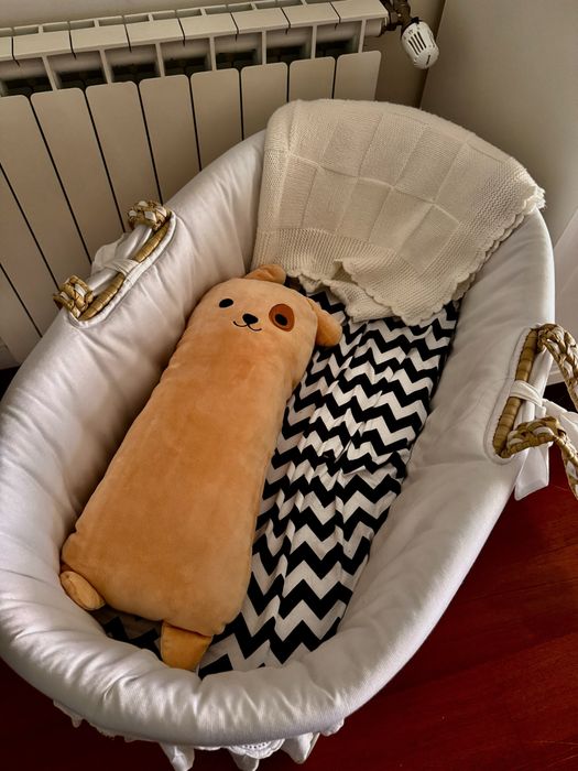 Moisés de Vime com Suporte de Madeira - Impecável