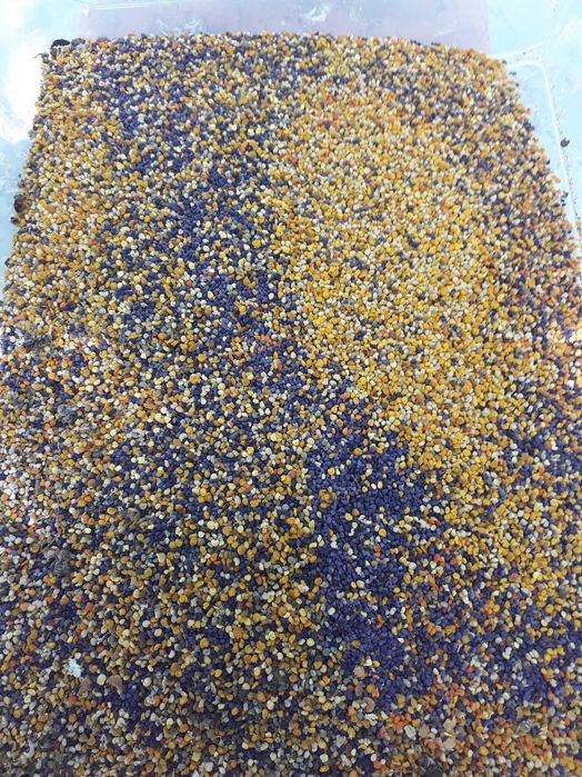 Zastaw miodów z własnej pasieki