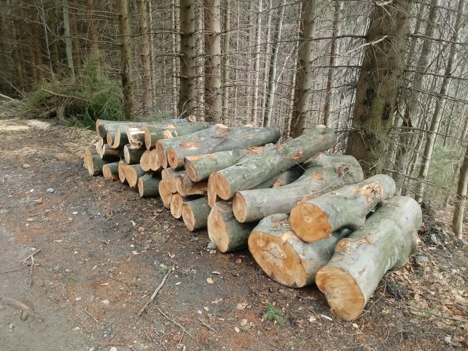 Drewno opałowe kominkowe buk