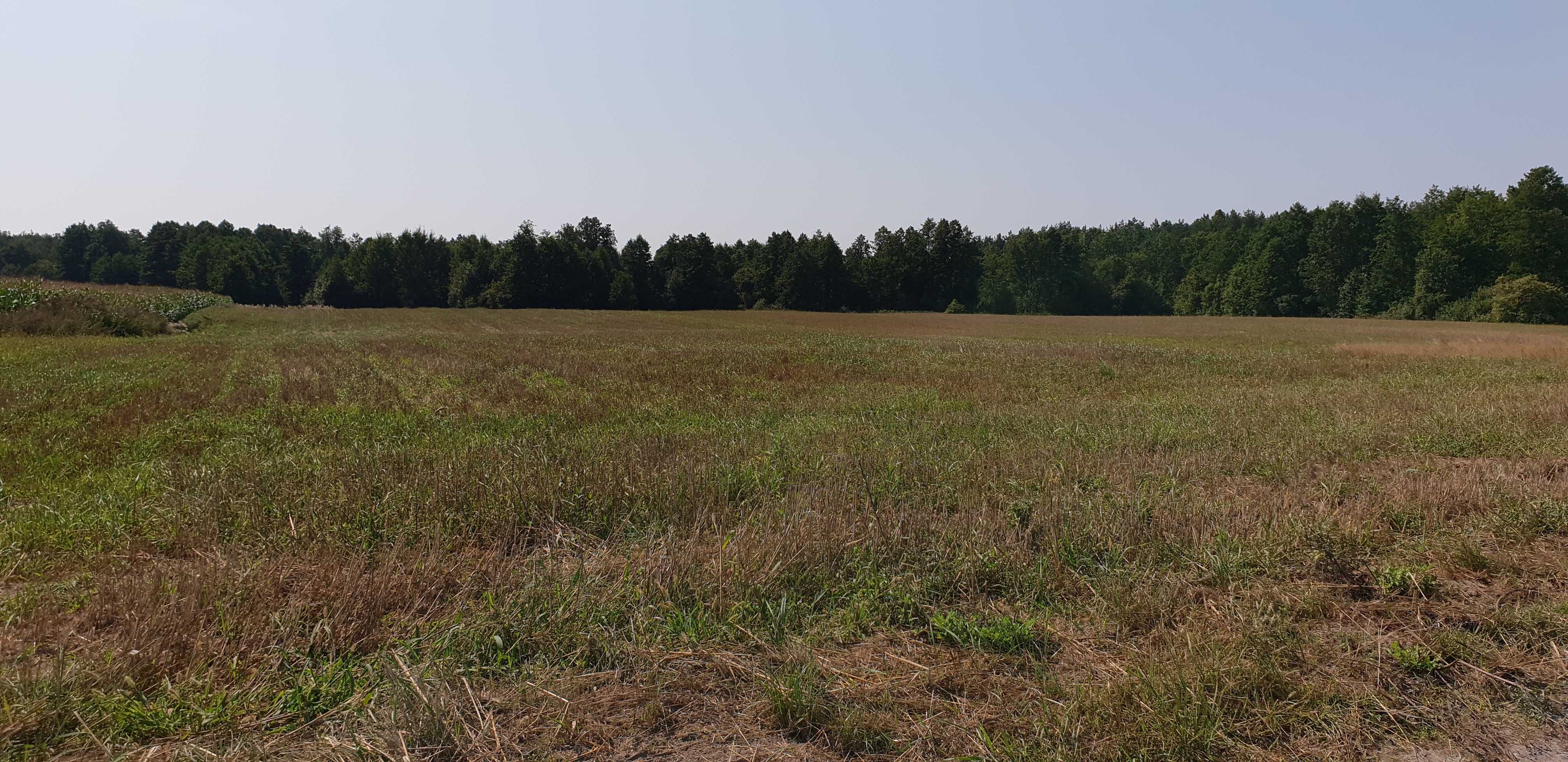 ziemia rolna 10,98 ha ( 2,5 km do pięknego jeziora Orłowskiego )