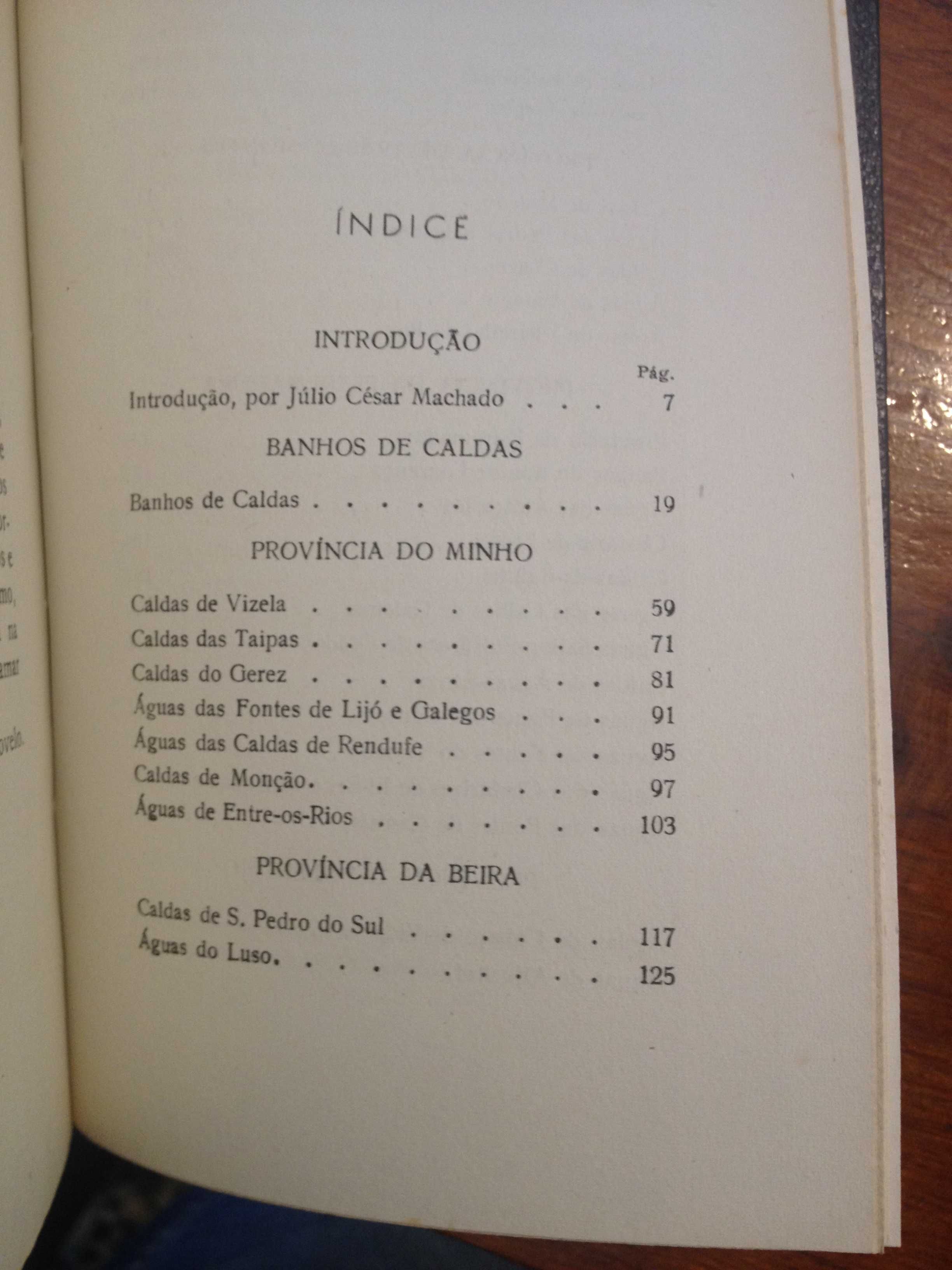 Ramalho Ortigão - Banhos de caldas e águas minerais