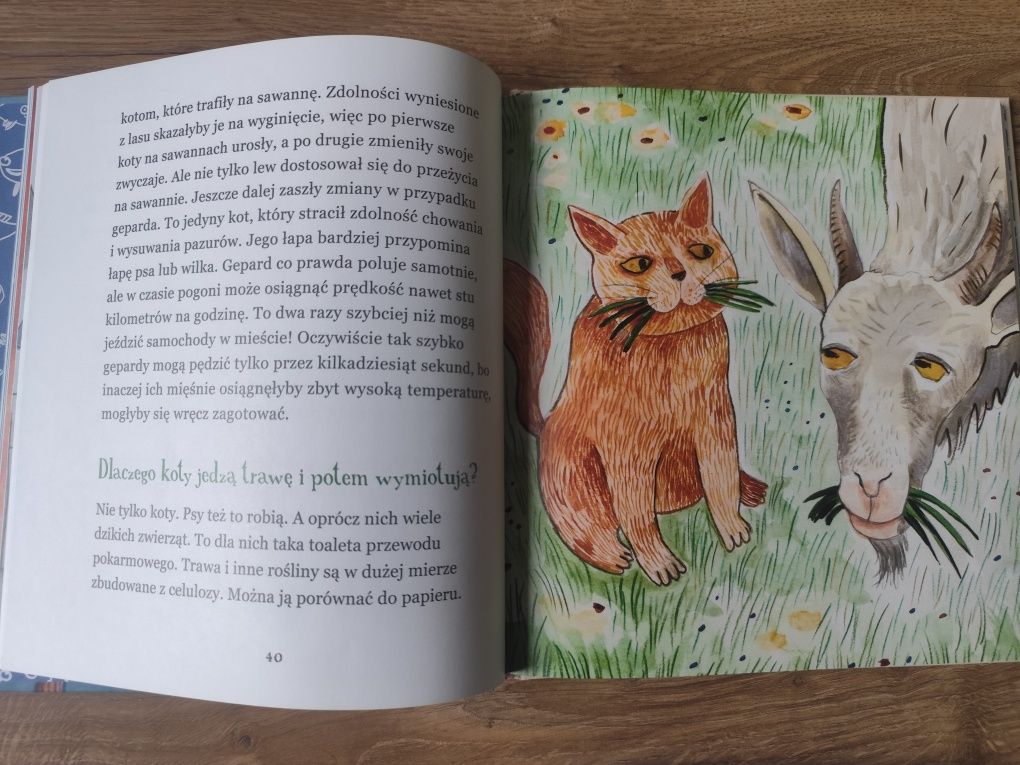 "Czy ryby piją wodę ", Dorota Sumińska