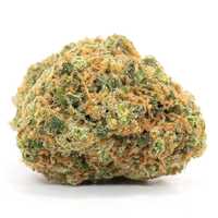 100G Susz konopny CBD Pineapple Haze 0,20% HURT Producent