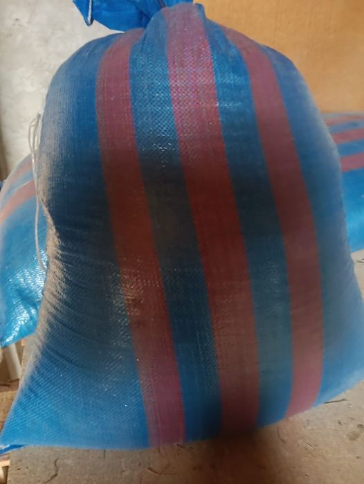 Zboże Pszenica Pszenżyto