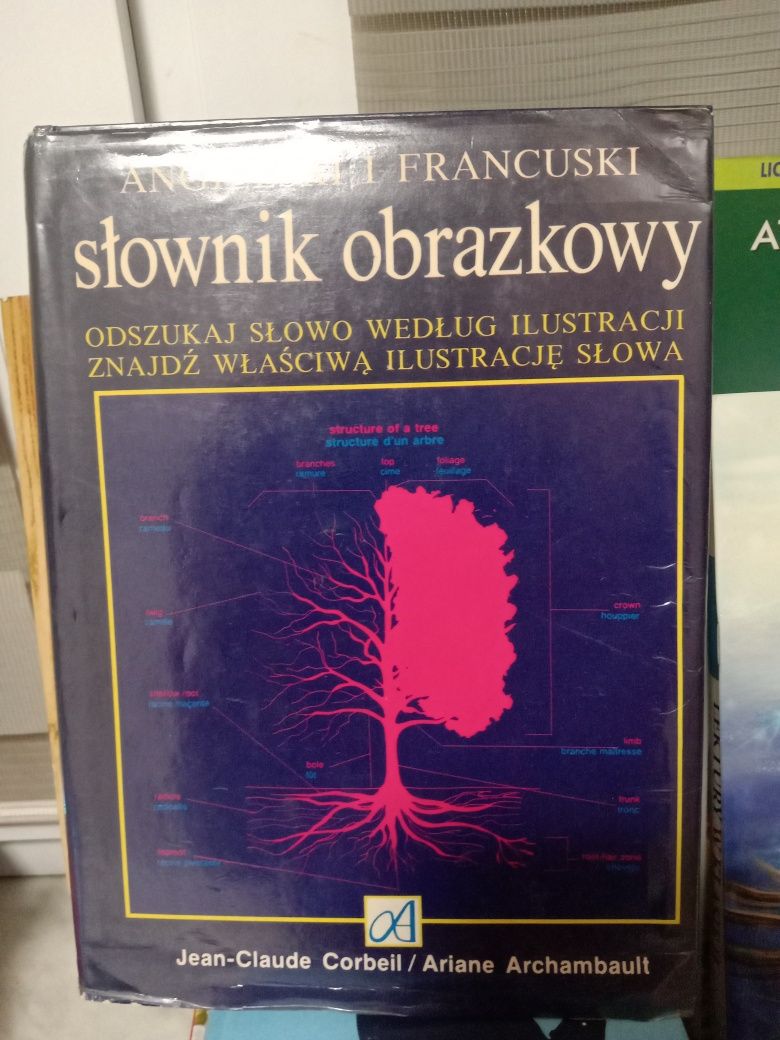 Słownik obrazkowy angielski i francuski.