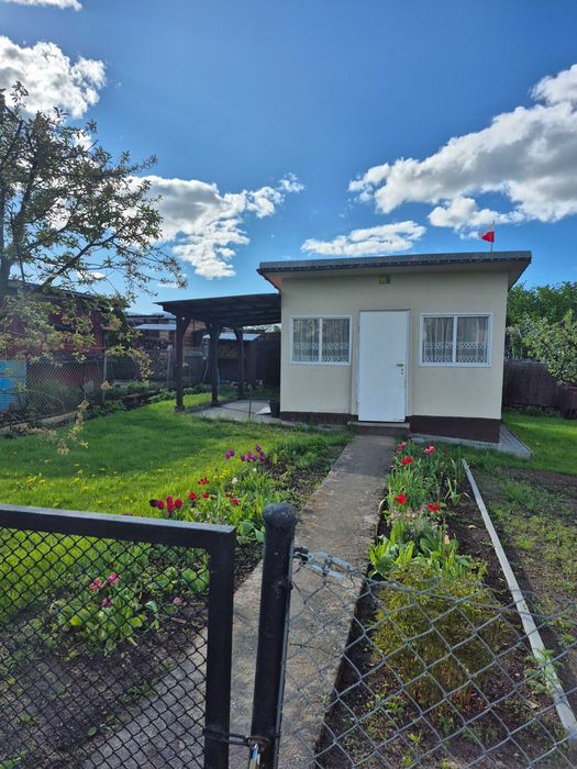 Sprzedam działkę ROD "STOKROTKA" w Grajwie.