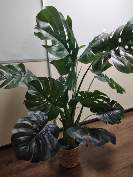 Monstera sztuczna